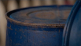 Binddii - 7th November 2025